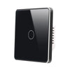 1-Gang Smart Switch-2123